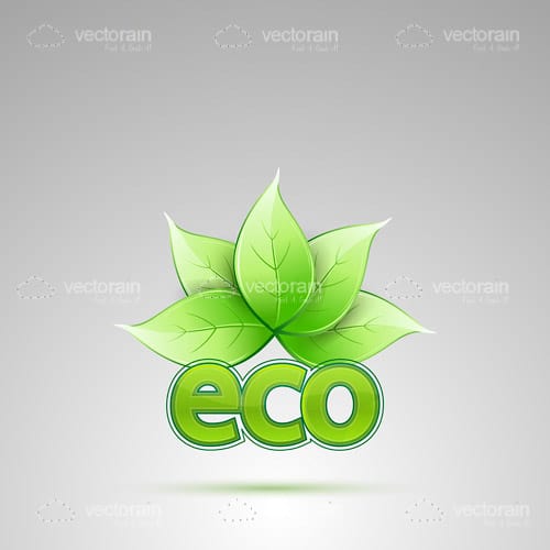 Eco Logo with Green Leaves Icon